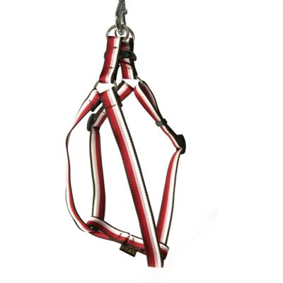 Hunde-Geschirr Nylon Gurtzeug Arka Haok Rouge 25/41-72 cm Hunde-Geschirr Nylon Gurtzeug Arka Haok Rouge 25/41-72 cm