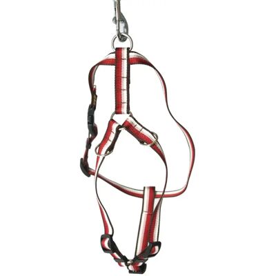 Standard Hundegeschirr Arka Haok Rouge 15/36-56 cm Standard Hundegeschirr Arka Haok Rouge 15/36-56 cm