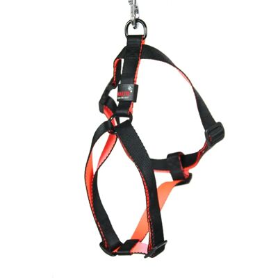 Hundegeschirr Arka Haok Multicolore M Hundegeschirr Arka Haok Multicolore M