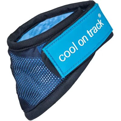 Back on Track Cool on Track Hundeschal - Blau - Hundeschal Back on Track Cool on Track Hundeschal - Blau - Hundeschal