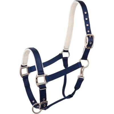 Halfter BR Equitation Event Bleu Full Halfter BR Equitation Event Bleu Full