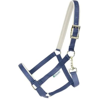 Halfter für Pferd Bucas Dublin Bleu Foal Halfter für Pferd Bucas Dublin Bleu Foal