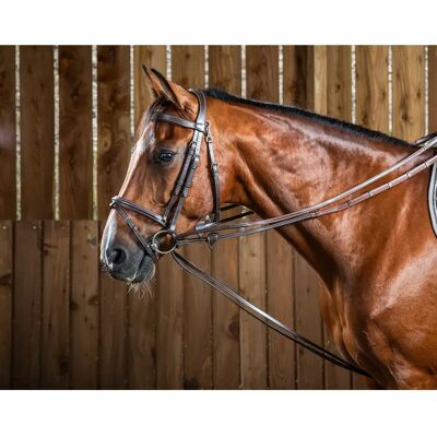 Dyon Zügel 1/2 Leder für Pferde Dy'on Hunter Marron Cob Dyon Zügel 1/2 Leder für Pferde Dy'on Hunter Marron Cob