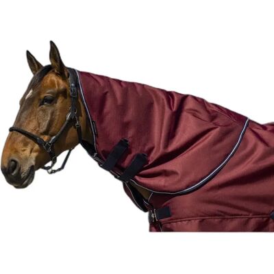 Halsdecke für Pferde Equithème Tyrex 1200D 0g Rouge Pur-sang Halsdecke für Pferde Equithème Tyrex 1200D 0g Rouge Pur-sang