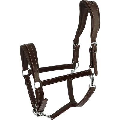 Halfter für Pferd Norton Ardennais Marron Cheval de trait Halfter für Pferd Norton Ardennais Marron Cheval de trait