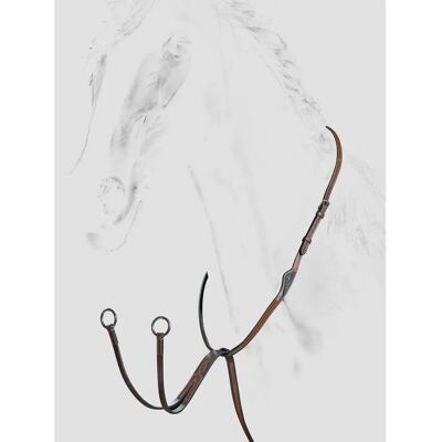 Klassische Ring Martingale Equiline Marron Cob Klassische Ring Martingale Equiline Marron Cob
