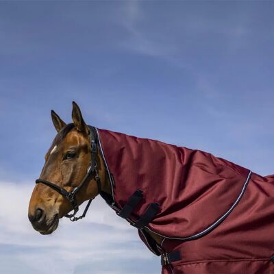 Halsdecke für Pferde Equithème Tyrex 1200D 200g Rouge Pur-sang Halsdecke für Pferde Equithème Tyrex 1200D 200g Rouge Pur-sang