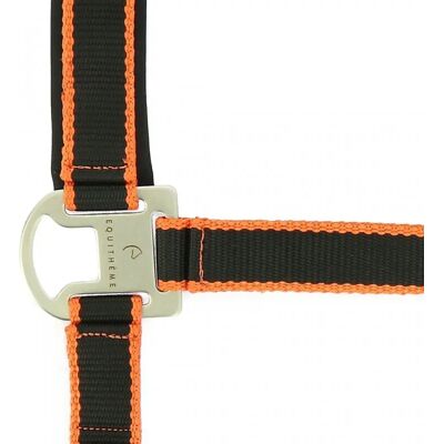 EQUITHÈME Shetland Satiniert Halfter und Führstrick EQUITHÈME Shetland Satiniert Halfter und Führstrick