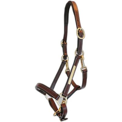 Halfter für Pony Leder Grooming ERIC THOMAS “Pro” Marron TU Halfter für Pony Leder Grooming ERIC THOMAS “Pro” Marron TU