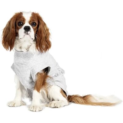 Flamingo Tierkörperschutz - Hund Hautpflege Flamingo Tierkörperschutz - Hund Hautpflege