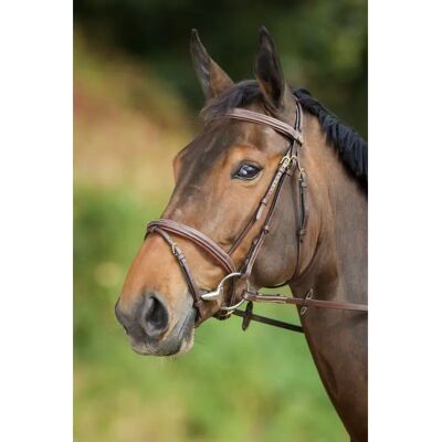 HFI Comfort Pferdegeschirr - Anatomisches Kopfstück mit Lederpolsterung HFI Comfort Pferdegeschirr - Anatomisches Kopfstück mit Lederpolsterung