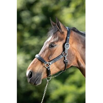 Lederhalfter für Pferde HFI Grooming Noir Cob Lederhalfter für Pferde HFI Grooming Noir Cob