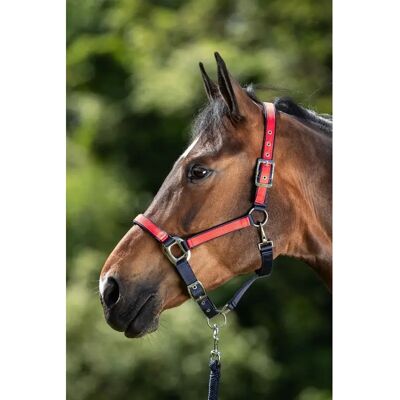 Halfter HFI Bleu Cob Halfter HFI Bleu Cob