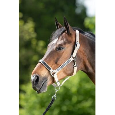 Halfter HFI First Beige Cob Halfter HFI First Beige Cob