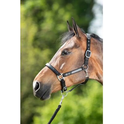 Halfter HFI First Noir Cob Halfter HFI First Noir Cob