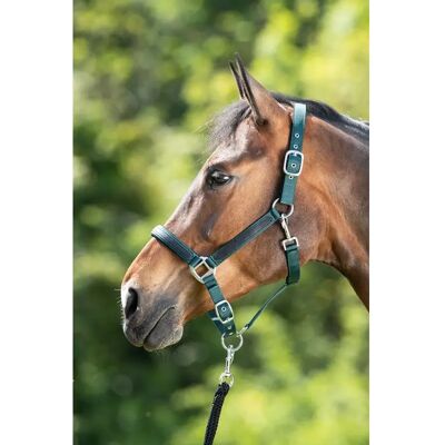 Halfter HFI First Vert Cob Halfter HFI First Vert Cob