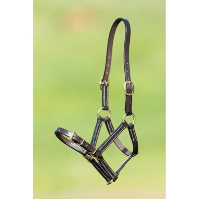Halfter aus feinem Leder für Pferde HFI Marron Foal Halfter aus feinem Leder für Pferde HFI Marron Foal