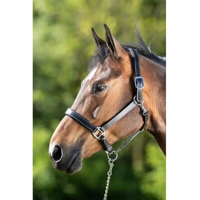 Halfter HFI Flat Noir Cob Halfter HFI Flat Noir Cob