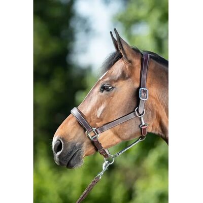 Halfter HFI Flat Marron Poney Halfter HFI Flat Marron Poney