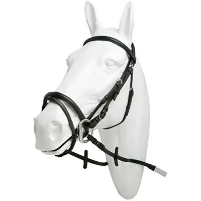 Gummi Englisch Halfter für Pferd Hispano Hipica Noir Cob Gummi Englisch Halfter für Pferd Hispano Hipica Noir Cob