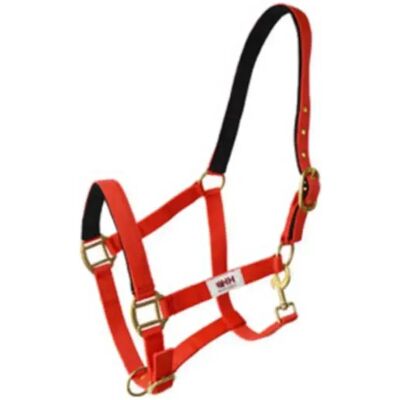 Nylon Halfter für Pferde Hispano Hipica Rouge Full Nylon Halfter für Pferde Hispano Hipica Rouge Full