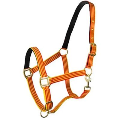 Nylon Halfter für Pferde Hispano Hipica Rouge Poney Nylon Halfter für Pferde Hispano Hipica Rouge Poney