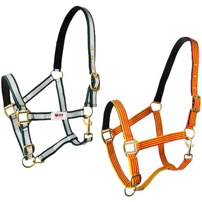 Nylon Halfter für Pferde mit Karabiner Hispano Hipica Jaune Poney Nylon Halfter für Pferde mit Karabiner Hispano Hipica Jaune Poney