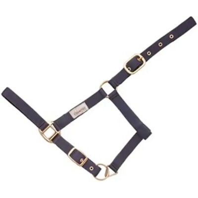 Lederhalfter für Pferde ohne Karabiner Hispano Hipica Bleu Cob Lederhalfter für Pferde ohne Karabiner Hispano Hipica Bleu Cob