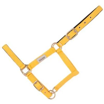 Lederhalfter für Pferde ohne Karabiner Hispano Hipica Jaune Cob Lederhalfter für Pferde ohne Karabiner Hispano Hipica Jaune Cob