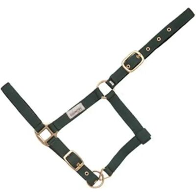 Lederhalfter für Pferde ohne Karabiner Hispano Hipica Vert Full Lederhalfter für Pferde ohne Karabiner Hispano Hipica Vert Full