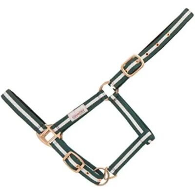 Lederhalfter für Pferde ohne Karabiner Hispano Hipica Vert Cob Lederhalfter für Pferde ohne Karabiner Hispano Hipica Vert Cob