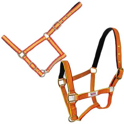 Nylon Halfter für Pferd ohne Karabiner Hispano Hipica Jaune Cob Nylon Halfter für Pferd ohne Karabiner Hispano Hipica Jaune Cob