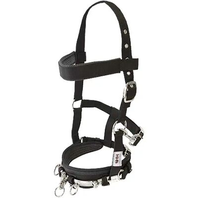 Nylon Halfter für Englischpferde Hispano Hipica Noir Cob Nylon Halfter für Englischpferde Hispano Hipica Noir Cob