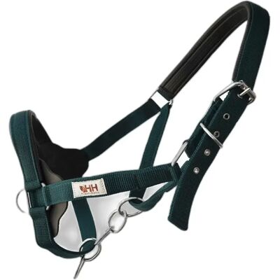 Halfter für Pferd Hispano Hipica Vert Cob Halfter für Pferd Hispano Hipica Vert Cob
