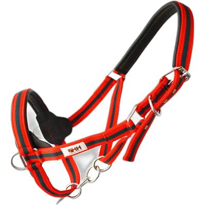 Halfter für Pferd Hispano Hipica Rouge Cob Halfter für Pferd Hispano Hipica Rouge Cob