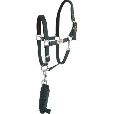 Nylon Halfter für Pferd mit Führstrick Hispano Hipica Vert Full Nylon Halfter für Pferd mit Führstrick Hispano Hipica Vert Full