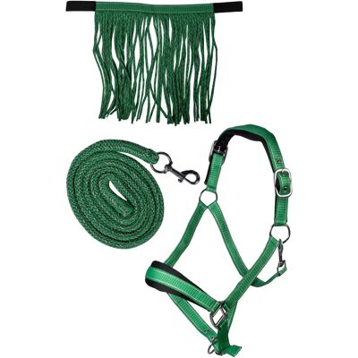 Halfter für Pferd HKM Lilly Vert Cheval Halfter für Pferd HKM Lilly Vert Cheval