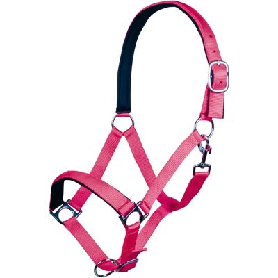 Halfter für Pferd HKM Stars Softice Rose Cheval Halfter für Pferd HKM Stars Softice Rose Cheval