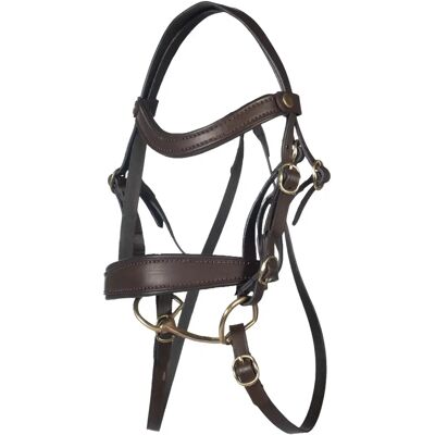 Reitzeug HKM Kids Basic Marron TU Reitzeug HKM Kids Basic Marron TU