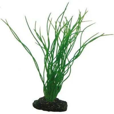 Aquariumdekoration Hobby Sagittaria Vert 20 cm Aquariumdekoration Hobby Sagittaria Vert 20 cm