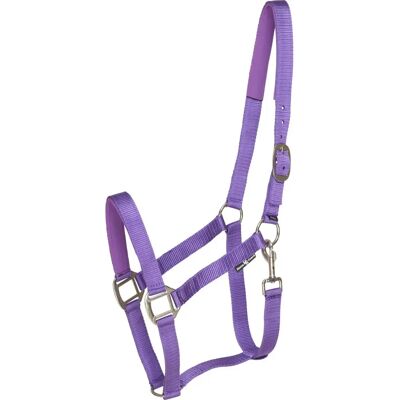 Halfter für Shetland HorseGuard Nylon Violet Shetland Halfter für Shetland HorseGuard Nylon Violet Shetland