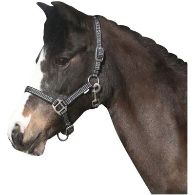 Halfter HorseGuard Rio Noir Cob Halfter HorseGuard Rio Noir Cob