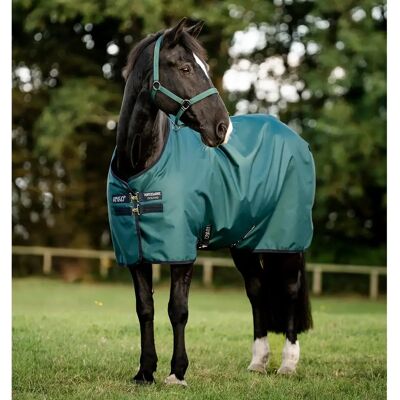 Outdoor-Decke für Ponys Horseware Amigo Ripstop 900D 100g Vert 140 cm Outdoor-Decke für Ponys Horseware Amigo Ripstop 900D 100g Vert 140 cm