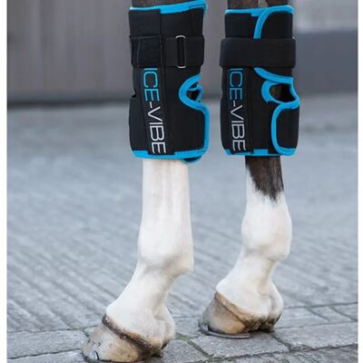Paar Sprunggelenkschoner und Knieschoner für Pferde Horseware Ice-Vibe by Hw Noir Full Paar Sprunggelenkschoner und Knieschoner für Pferde Horseware Ice-Vibe by Hw Noir Full