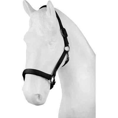 Halfter für Pferd Horze Noir Cob Halfter für Pferd Horze Noir Cob