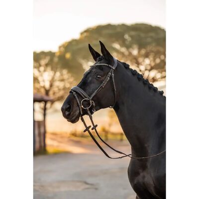 HORZE Lockhart Pferdehalfter - Anatomisches weiches Leder, Kristalle, Verstellbare Schnalle HORZE Lockhart Pferdehalfter - Anatomisches weiches Leder, Kristalle, Verstellbare Schnalle