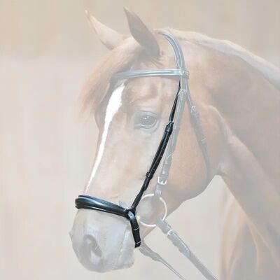 Reithalfter Pferd Kavalkade Noir Cob Reithalfter Pferd Kavalkade Noir Cob
