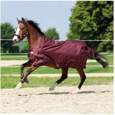 Outdoor-Decke Kavalkade Alaska IV 300 g Rouge 115 cm Outdoor-Decke Kavalkade Alaska IV 300 g Rouge 115 cm