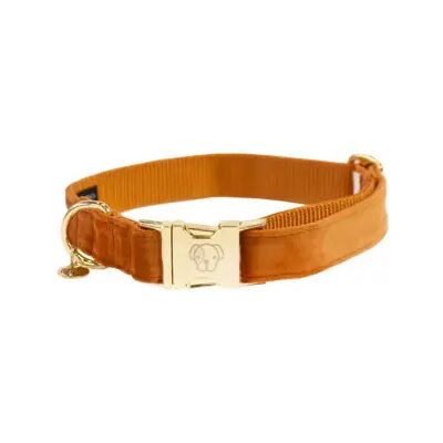 Kentucky Dogwear Samthalsband - Orange / Lila / Pink - XS - Hundehalsband Kentucky Dogwear Samthalsband - Orange / Lila / Pink - XS - Hundehalsband