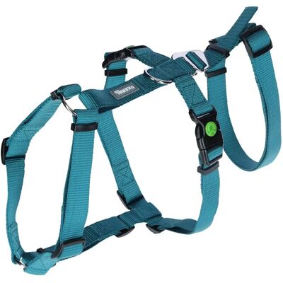 Kerbl Miami Hundehalsband & Geschirr - 15 mm, 38-52 cm - Geschirr Kerbl Miami Hundehalsband & Geschirr - 15 mm, 38-52 cm - Geschirr